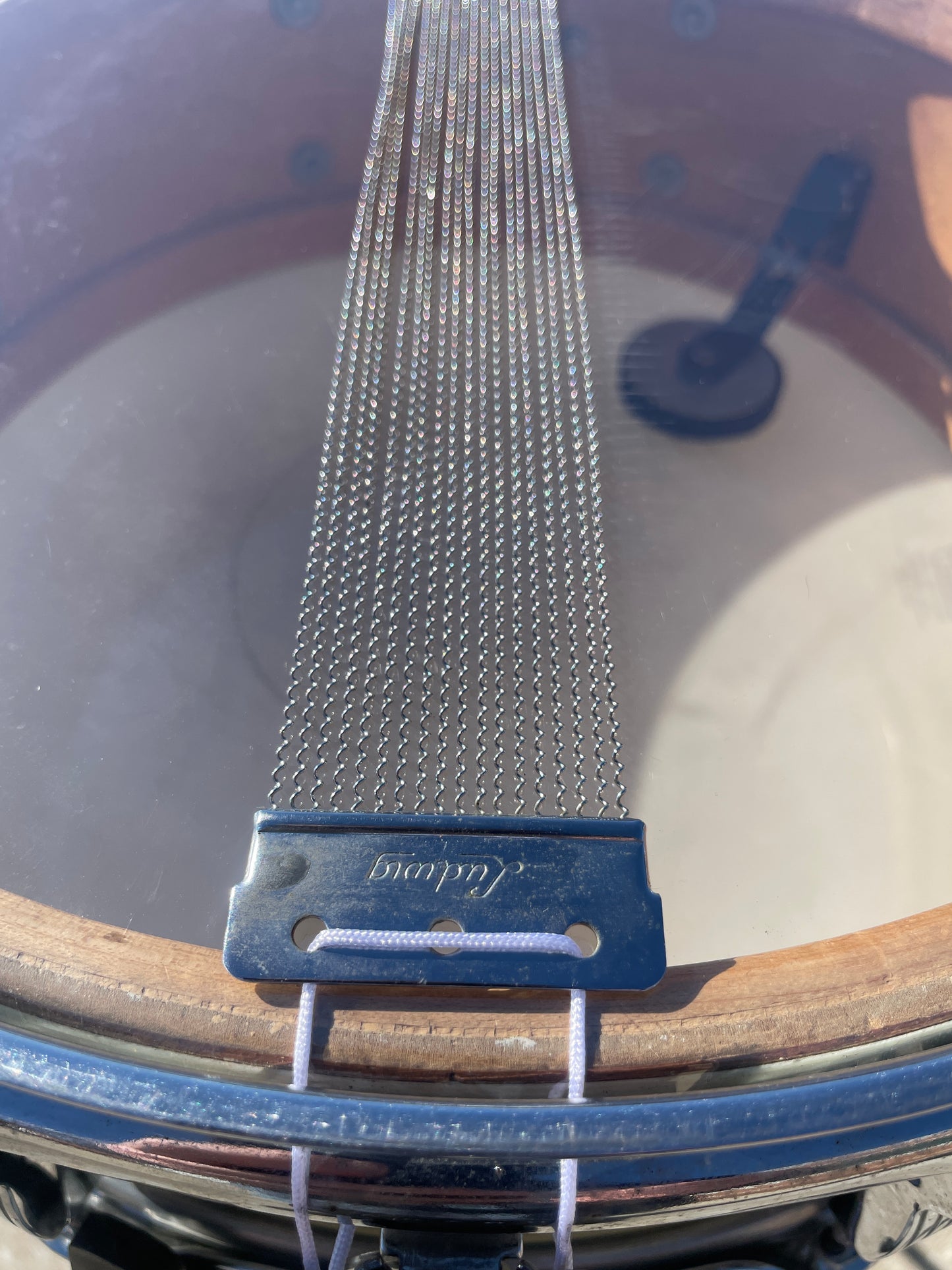 1960s Ludwig 5x14 Jazz Festival Snare Drum White Marine Pearl