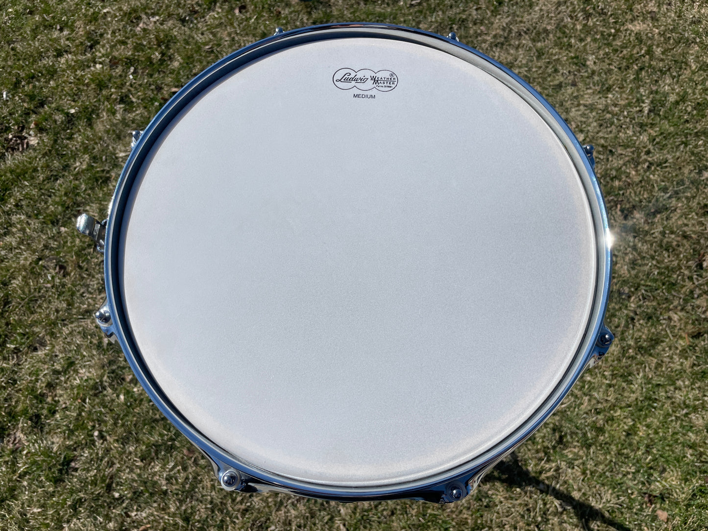 Ludwig Limited Edition Bun E. Carlos Snare Drum Citrus Mod #24 of 100
