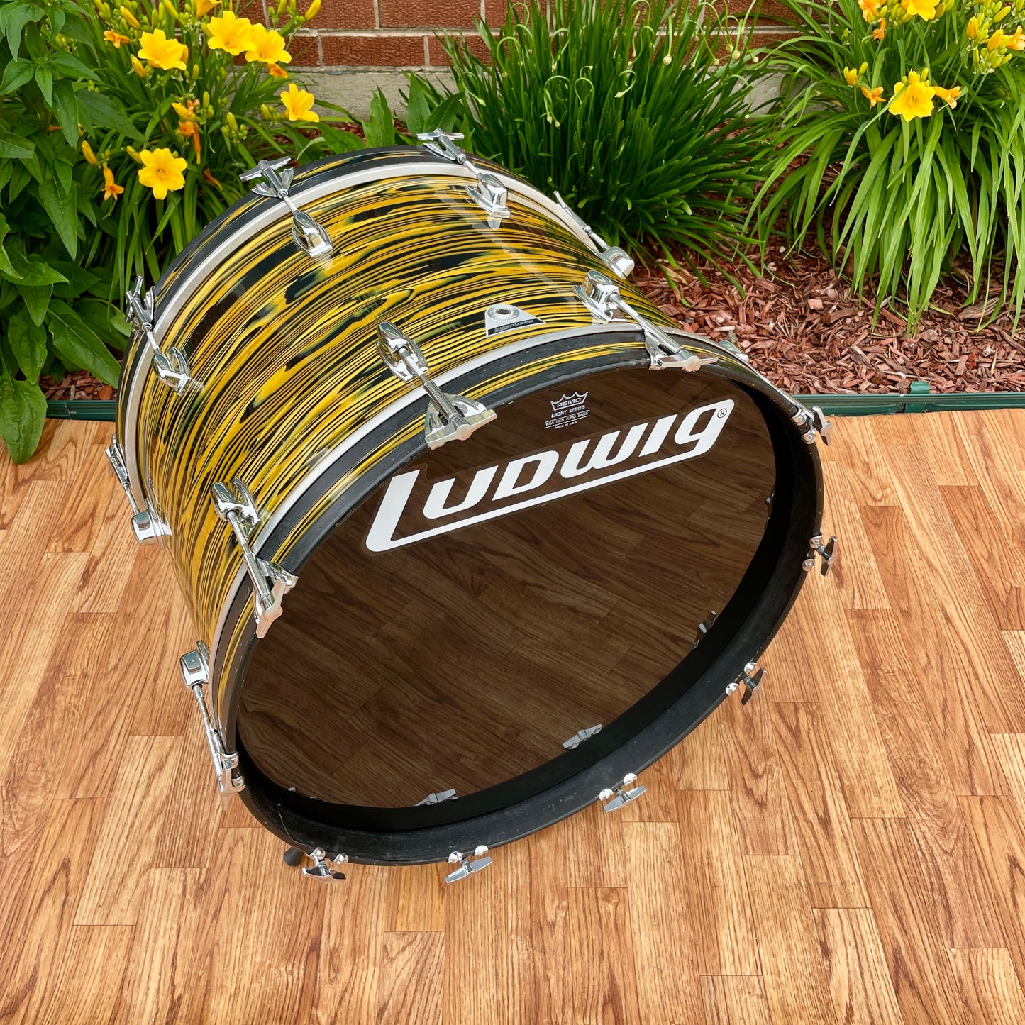 1970s Ludwig Standard 14x22 Bass Drum Lemon Strata * Rare Virgin! *