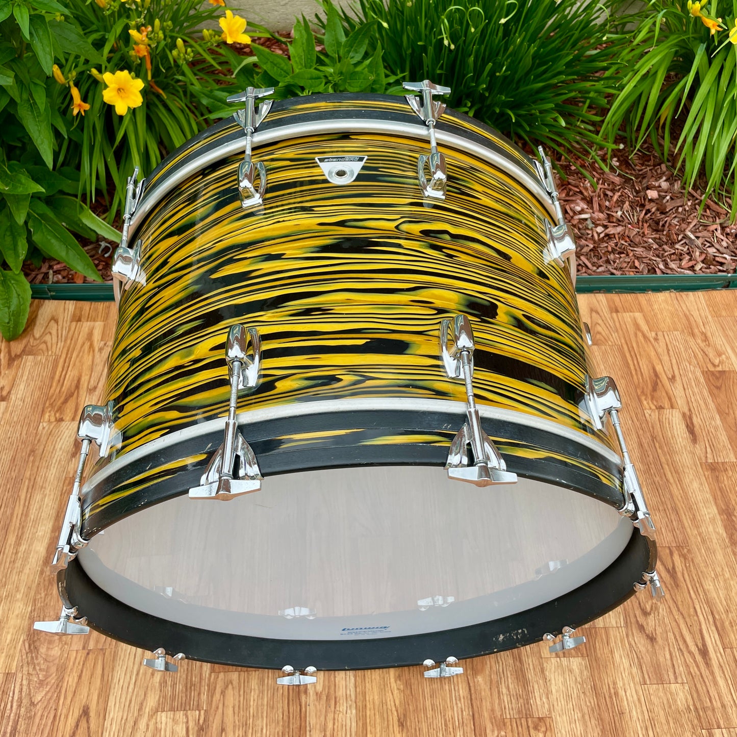 1970s Ludwig Standard 14x22 Bass Drum Lemon Strata * Rare Virgin! *