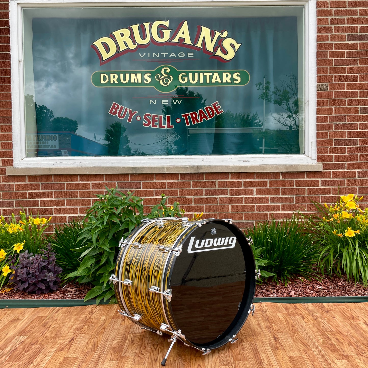 1970s Ludwig Standard 14x22 Bass Drum Lemon Strata * Rare Virgin! *