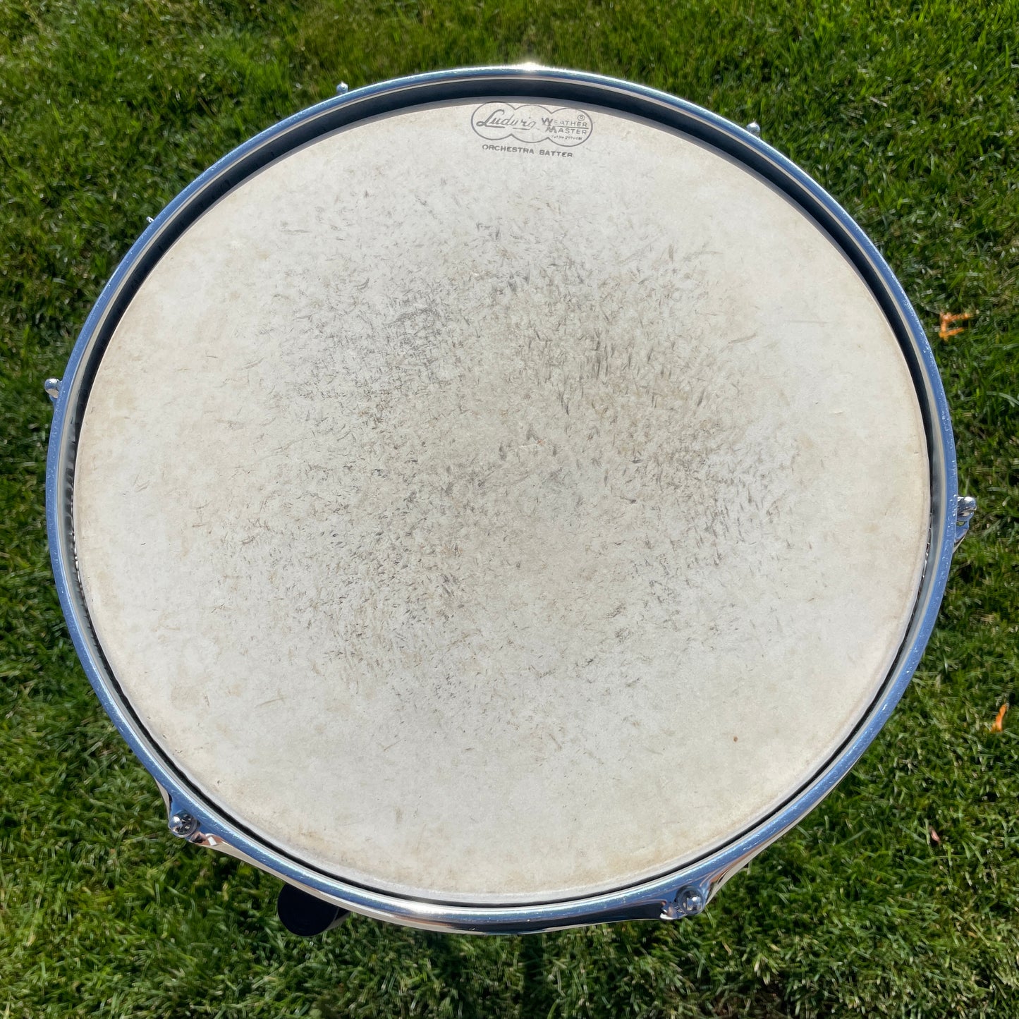 1960s Ludwig 5x14 Pioneer Snare Drum Oyster Blue Pearl