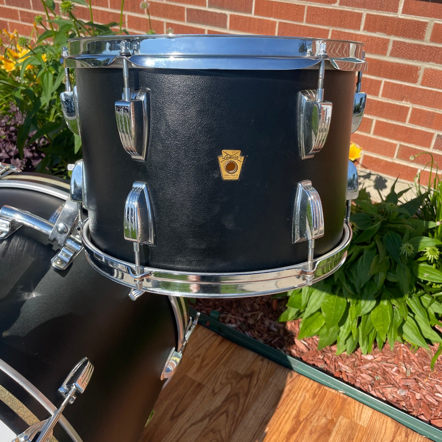 Close-up of the rack tom's gold Ludwig Keystone badge on the Black Panther wrap
