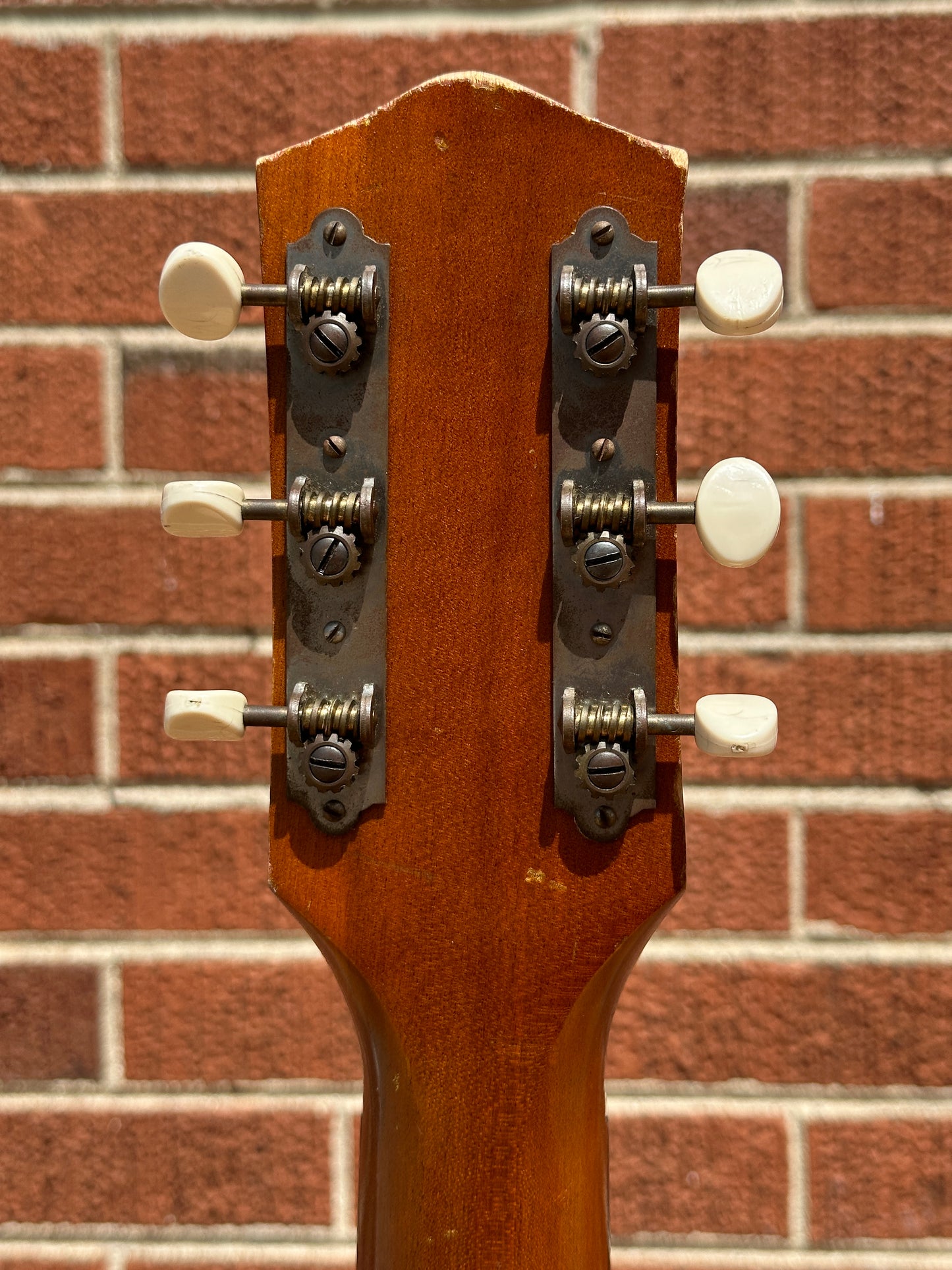 1960s Harmony H162 Tortoise Double Bound Acoustic Guitar Natural