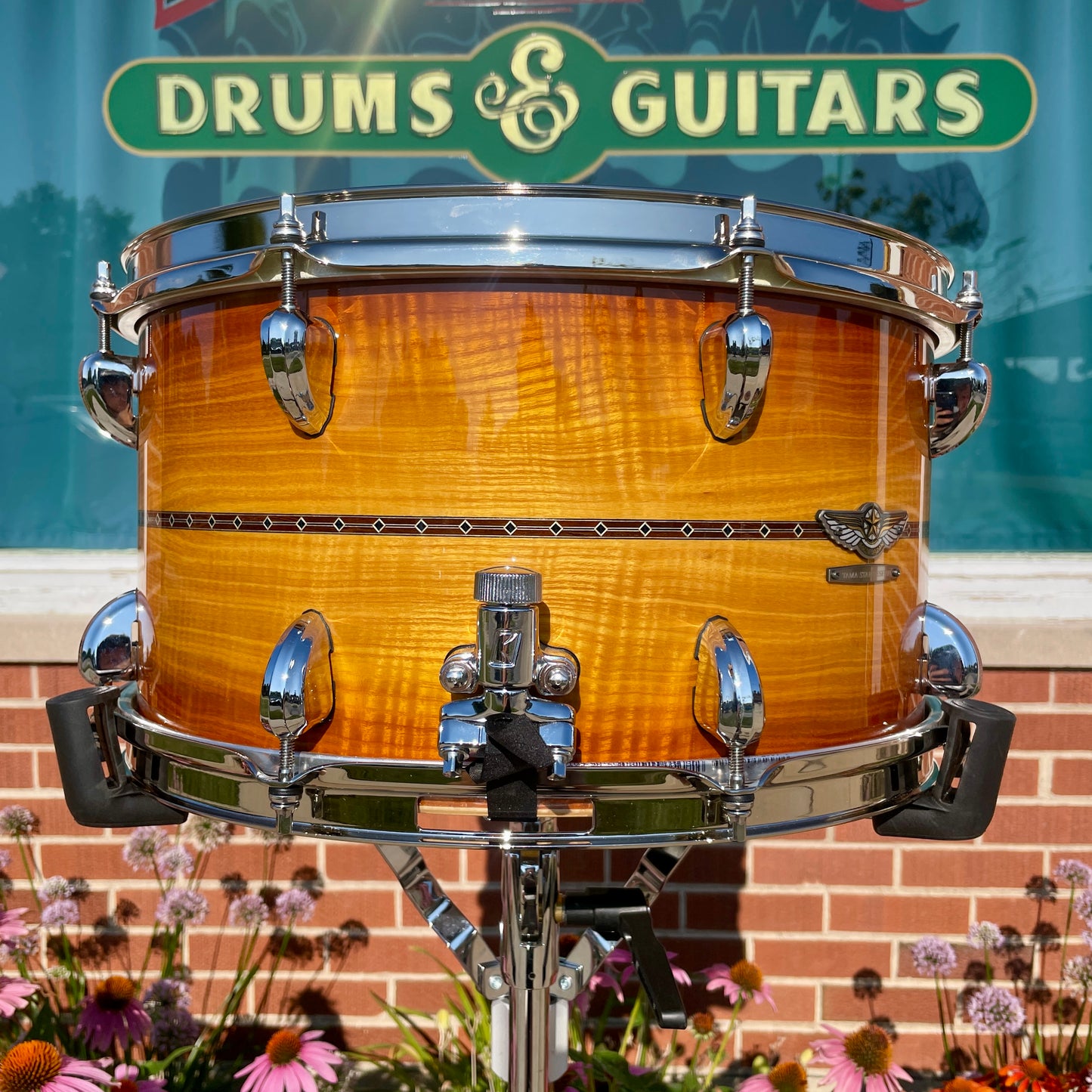 Tama Star Reserve 8x15 Maple/Bubinga Snare Drum Caramel Olive Ash Burst TMBS158S-OCOB
