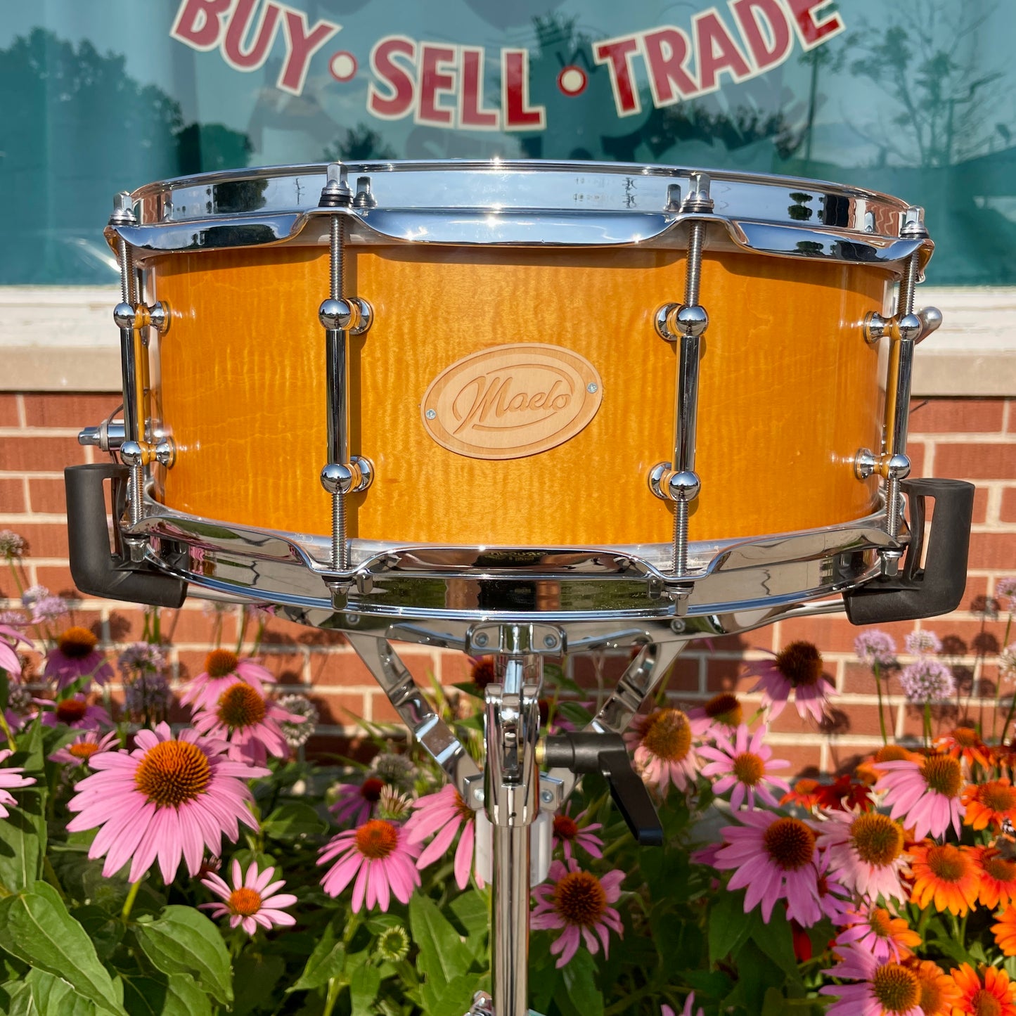 Maelo Drums 5th Anniversary Curly Maple 5.5x14 Snare Drum