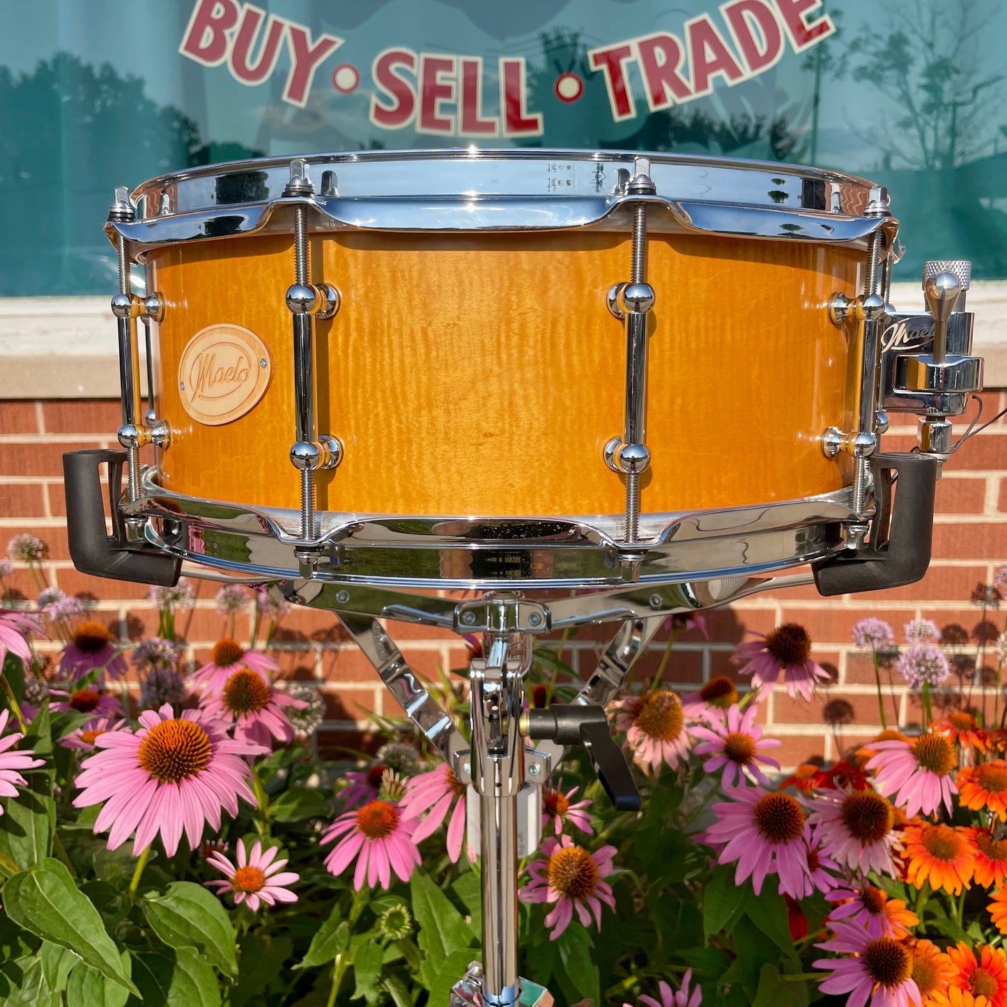 Maelo Drums 5th Anniversary Curly Maple 5.5x14 Snare Drum