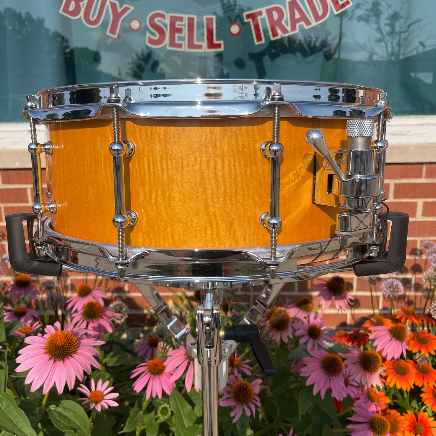 Maelo Drums 5th Anniversary Curly Maple 5.5x14 Snare Drum