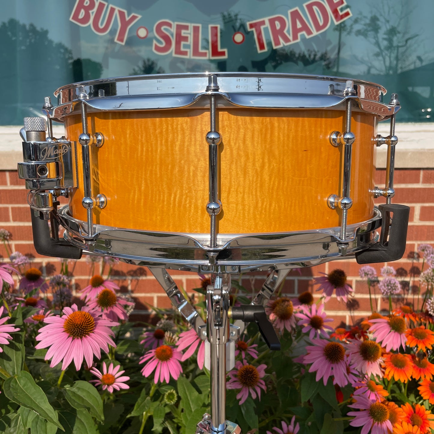 Maelo Drums 5th Anniversary Curly Maple 5.5x14 Snare Drum