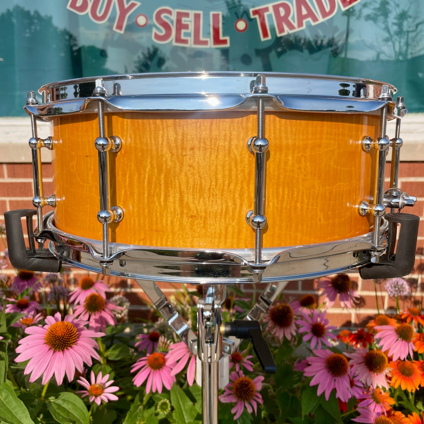 Maelo Drums 5th Anniversary Curly Maple 5.5x14 Snare Drum