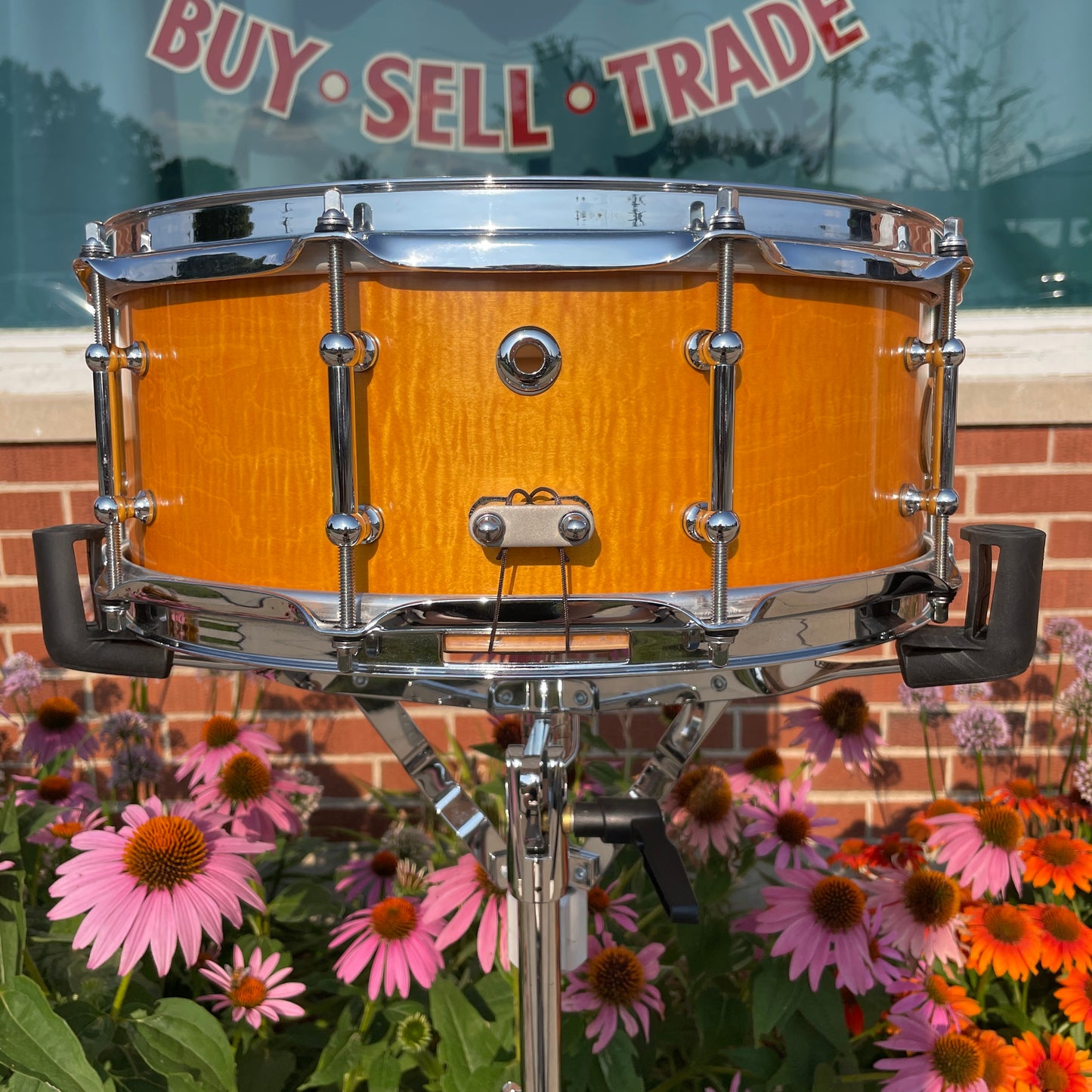 Maelo Drums 5th Anniversary Curly Maple 5.5x14 Snare Drum