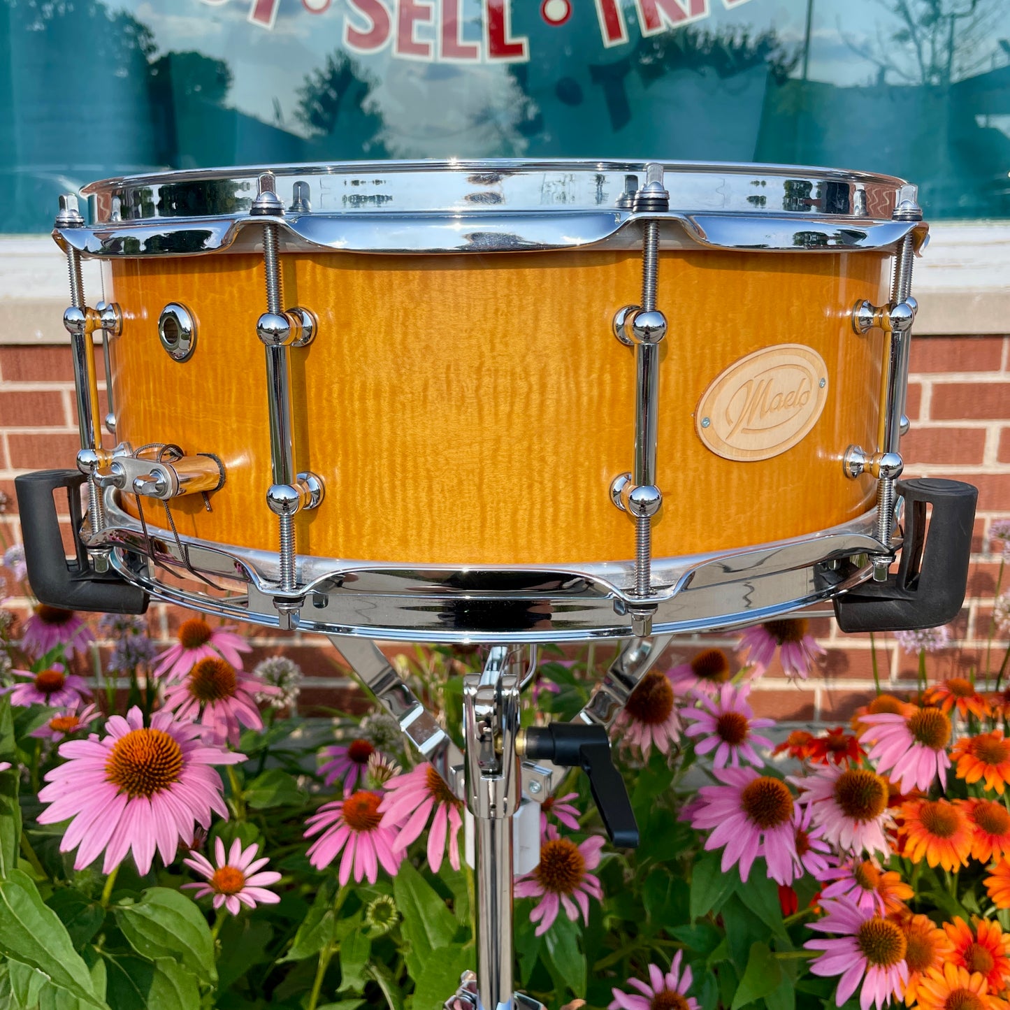 Maelo Drums 5th Anniversary Curly Maple 5.5x14 Snare Drum