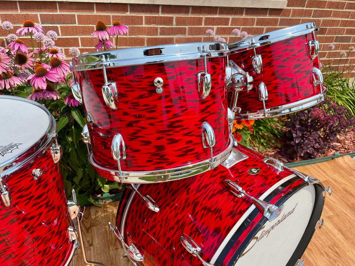 1960s Slingerland Drum Set Red Tiger Modern Solo Outfit 22/12/13/16