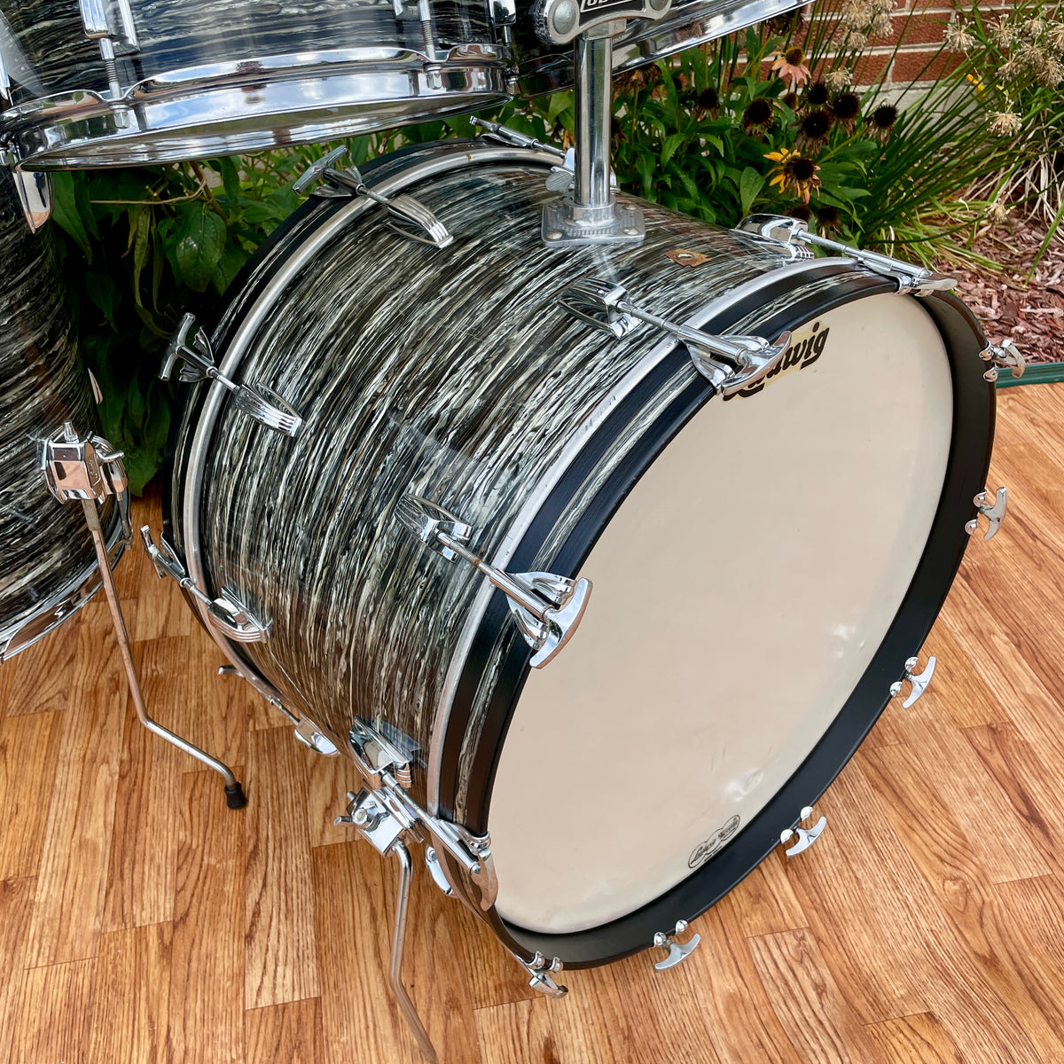 1966 Ludwig Hollywood Drum Set Oyster Black Pearl 22/12/12/16