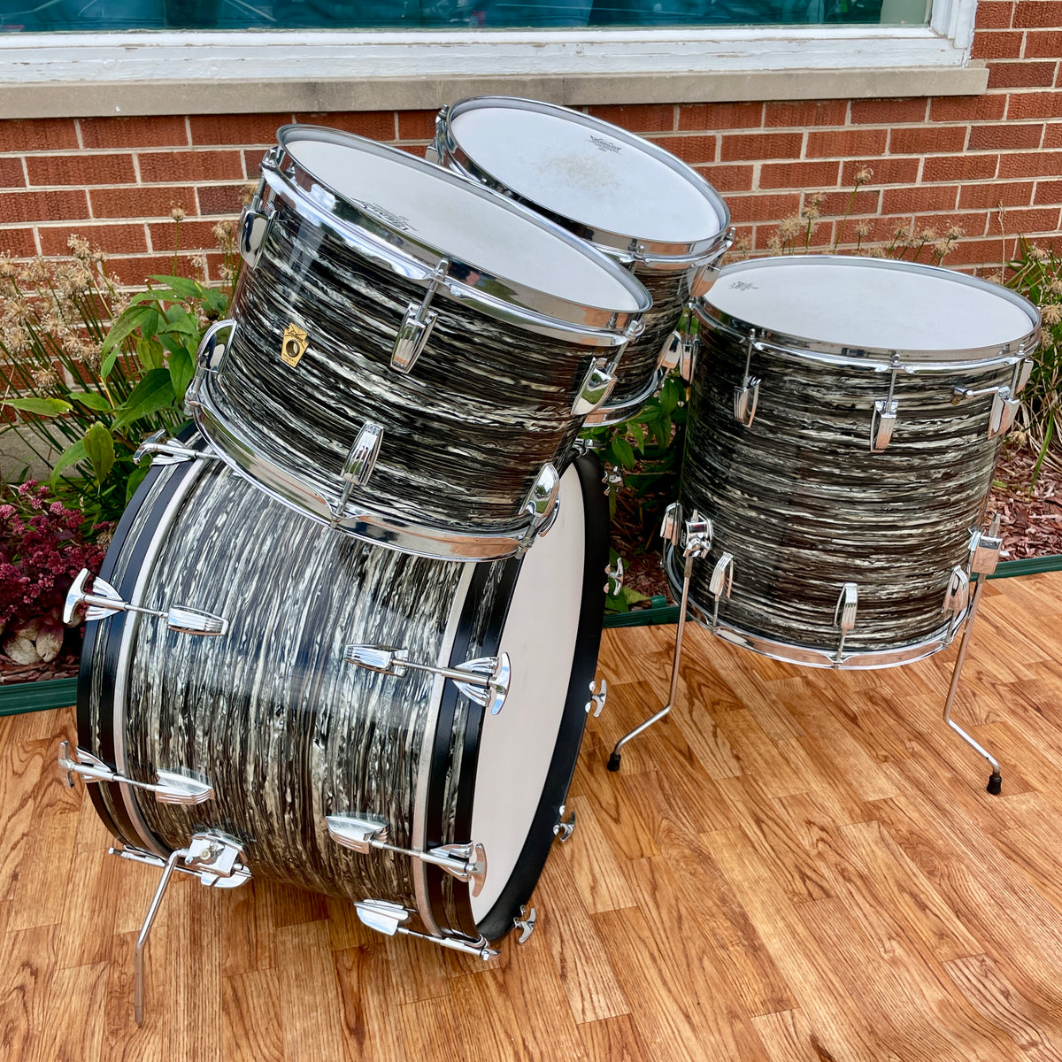 1966 Ludwig Hollywood Drum Set Oyster Black Pearl 22/12/12/16