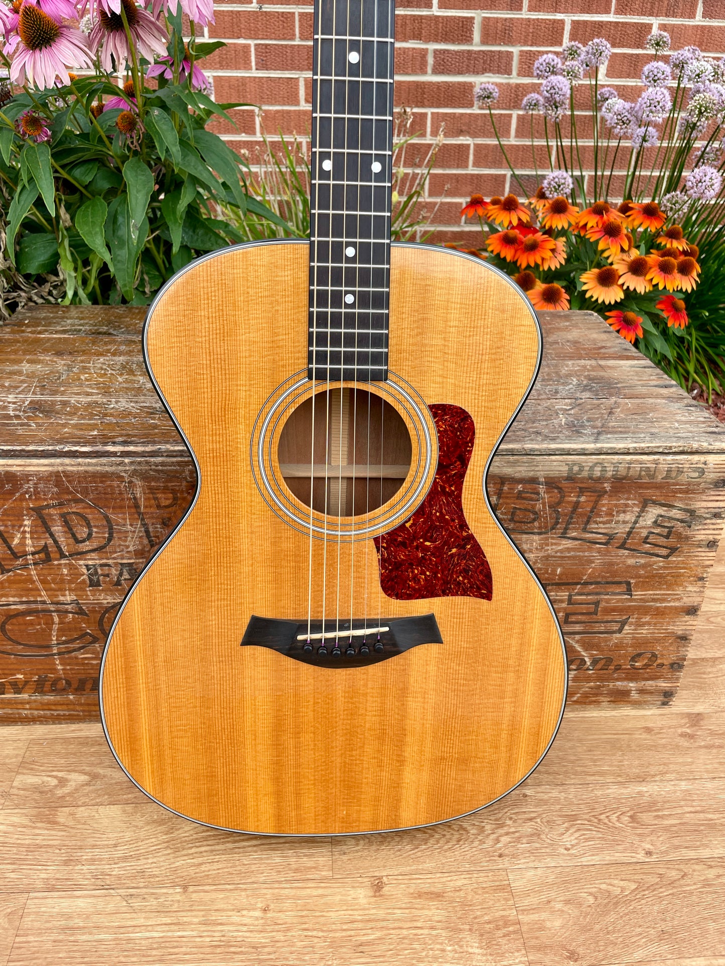 1980s Taylor 512 Grand Concert Acoustic Guitar Natural Lemon Grove Era w/ OHSC