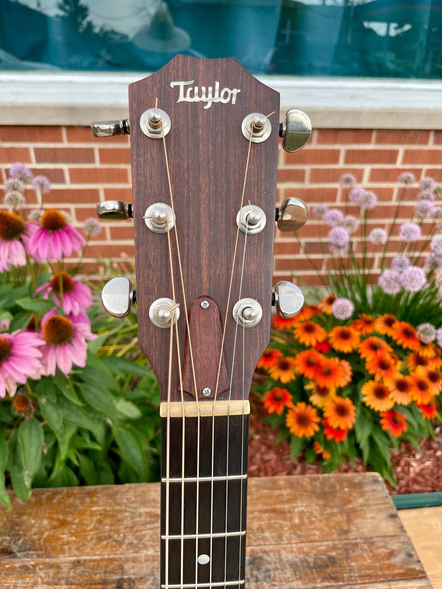 1980s Taylor 512 Grand Concert Acoustic Guitar Natural Lemon Grove Era w/ OHSC