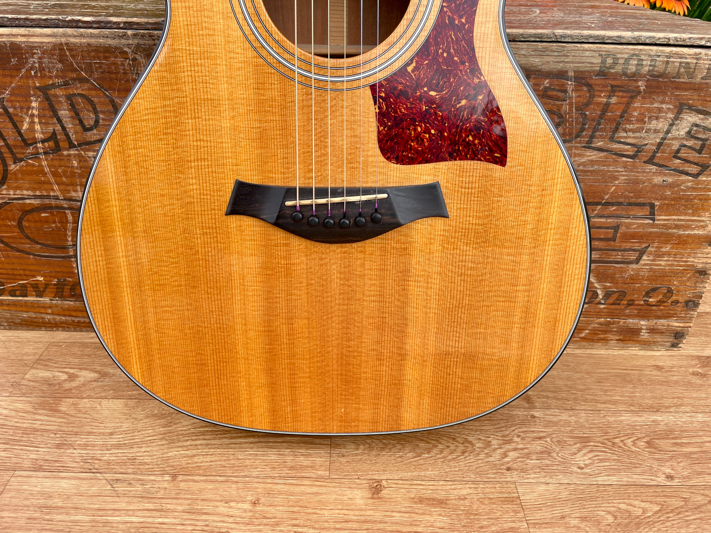 1980s Taylor 512 Grand Concert Acoustic Guitar Natural Lemon Grove Era w/ OHSC