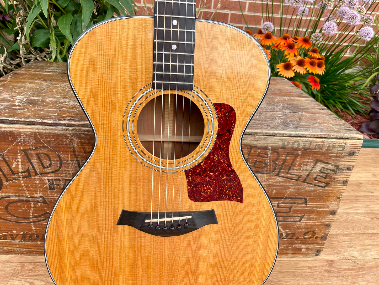 1980s Taylor 512 Grand Concert Acoustic Guitar Natural Lemon Grove Era w/ OHSC