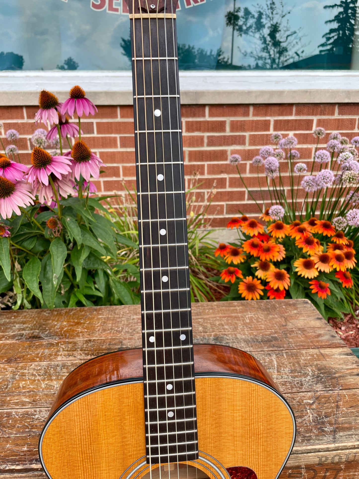 1980s Taylor 512 Grand Concert Acoustic Guitar Natural Lemon Grove Era w/ OHSC