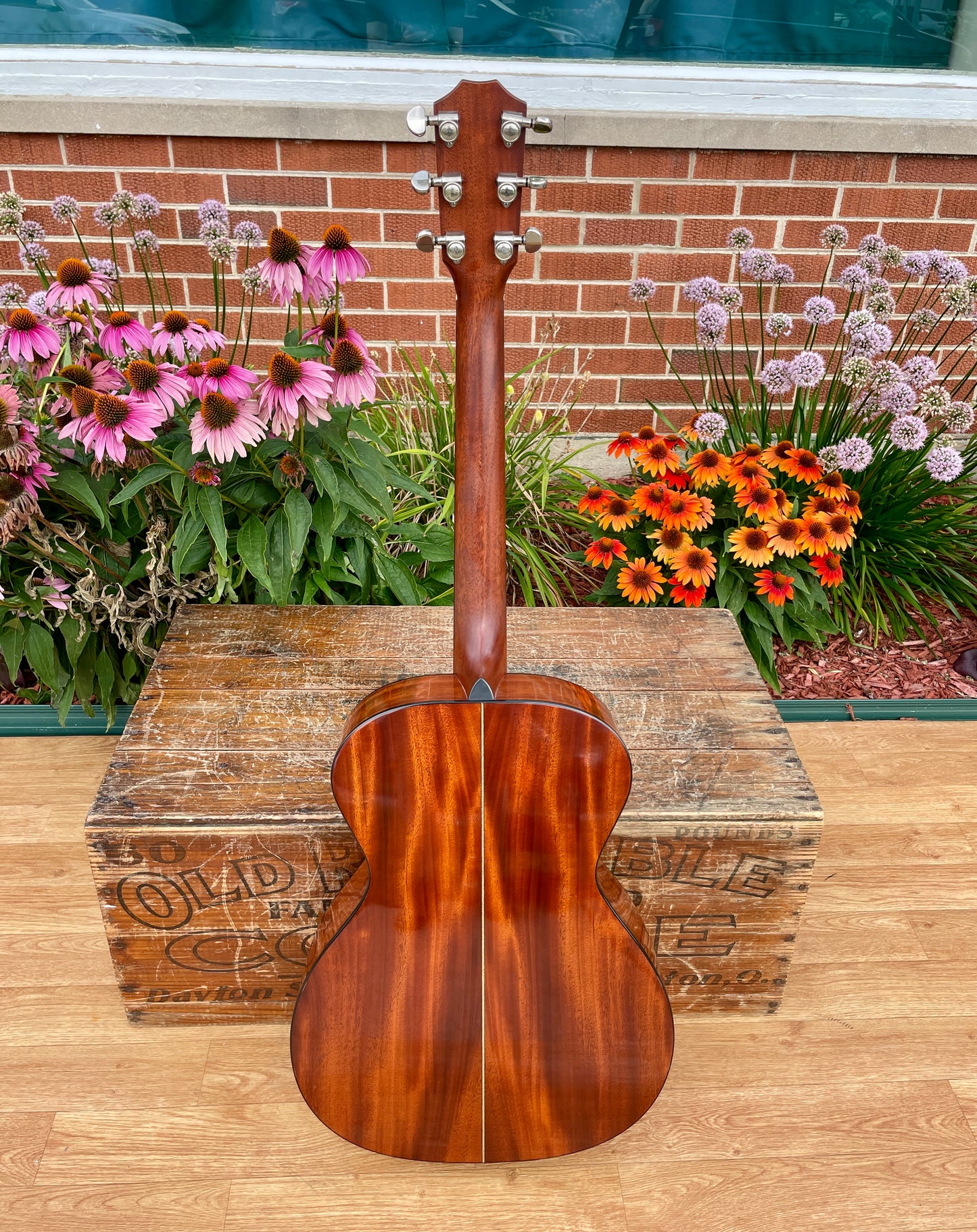 1980s Taylor 512 Grand Concert Acoustic Guitar Natural Lemon Grove Era w/ OHSC