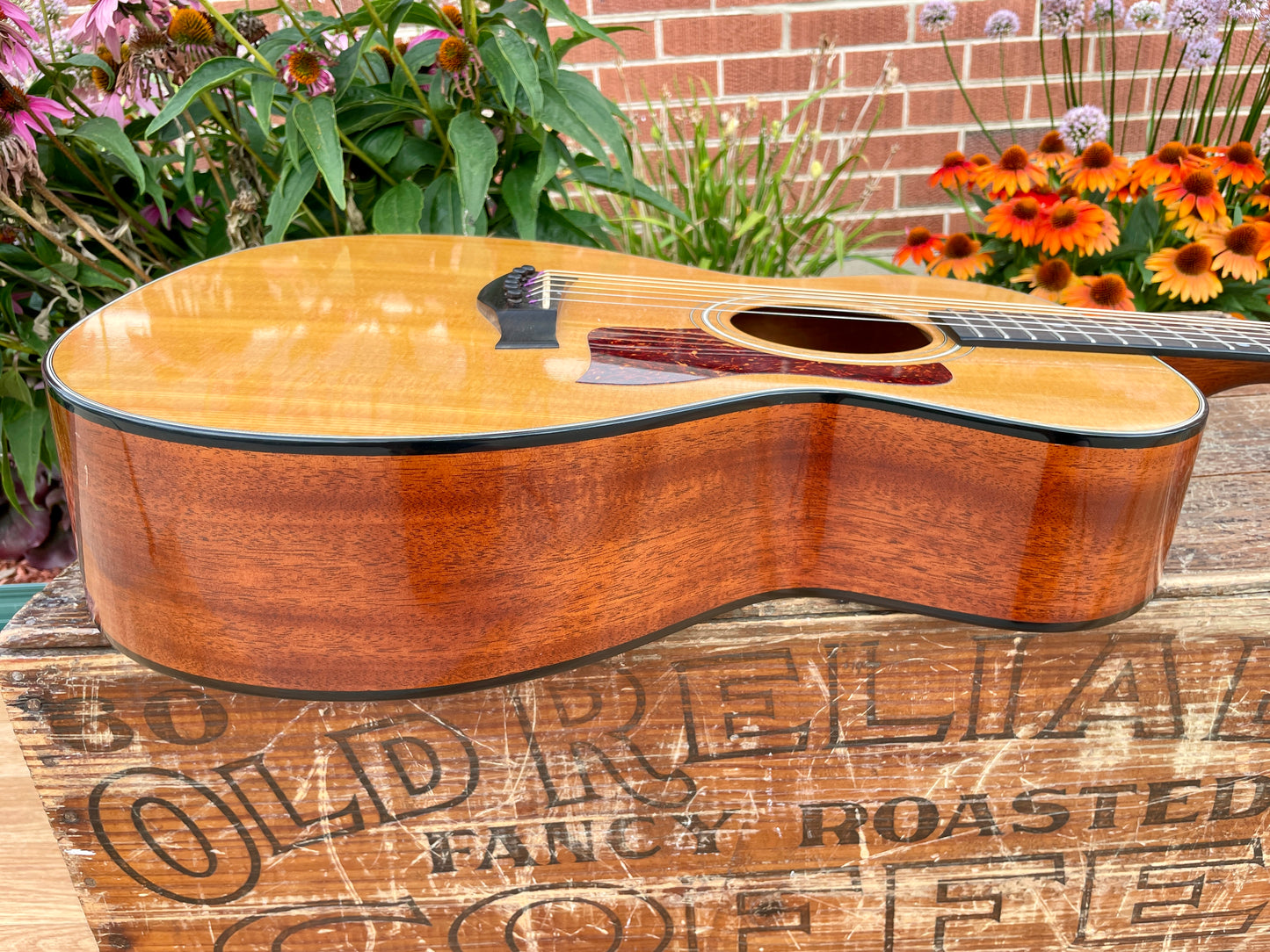 1980s Taylor 512 Grand Concert Acoustic Guitar Natural Lemon Grove Era w/ OHSC