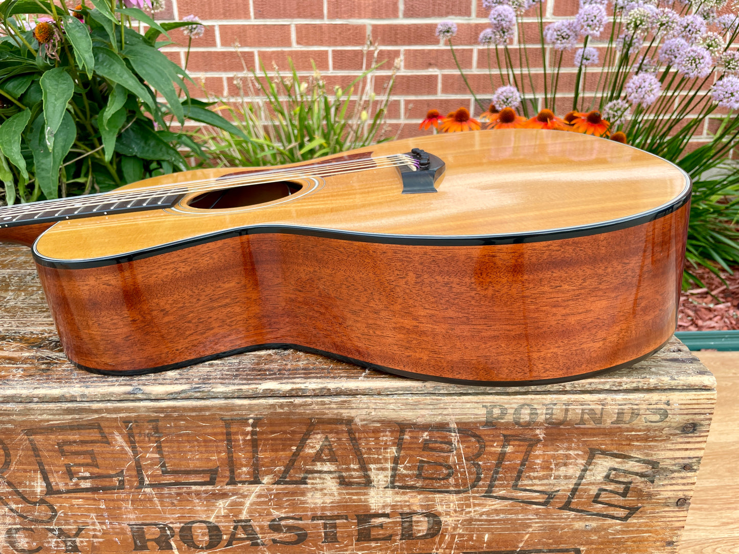 1980s Taylor 512 Grand Concert Acoustic Guitar Natural Lemon Grove Era w/ OHSC