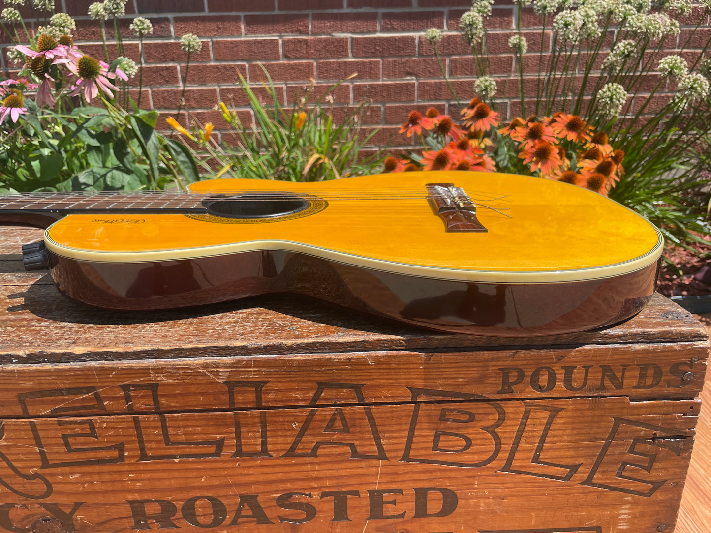 Epiphone Chet Atkins CEC Electric Classical Guitar Natural w/ OHSC