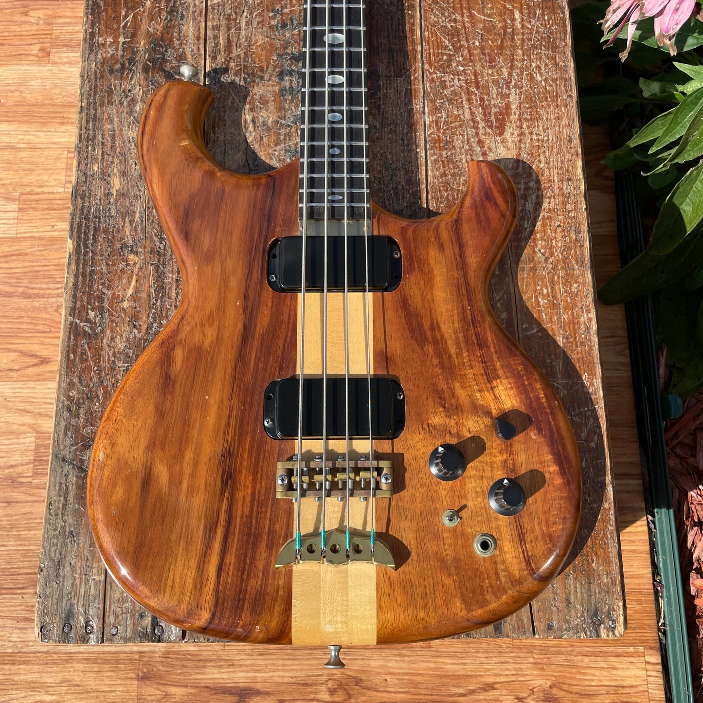 1982 Alembic Spoiler Bass Guitar w/ Hardshell Case