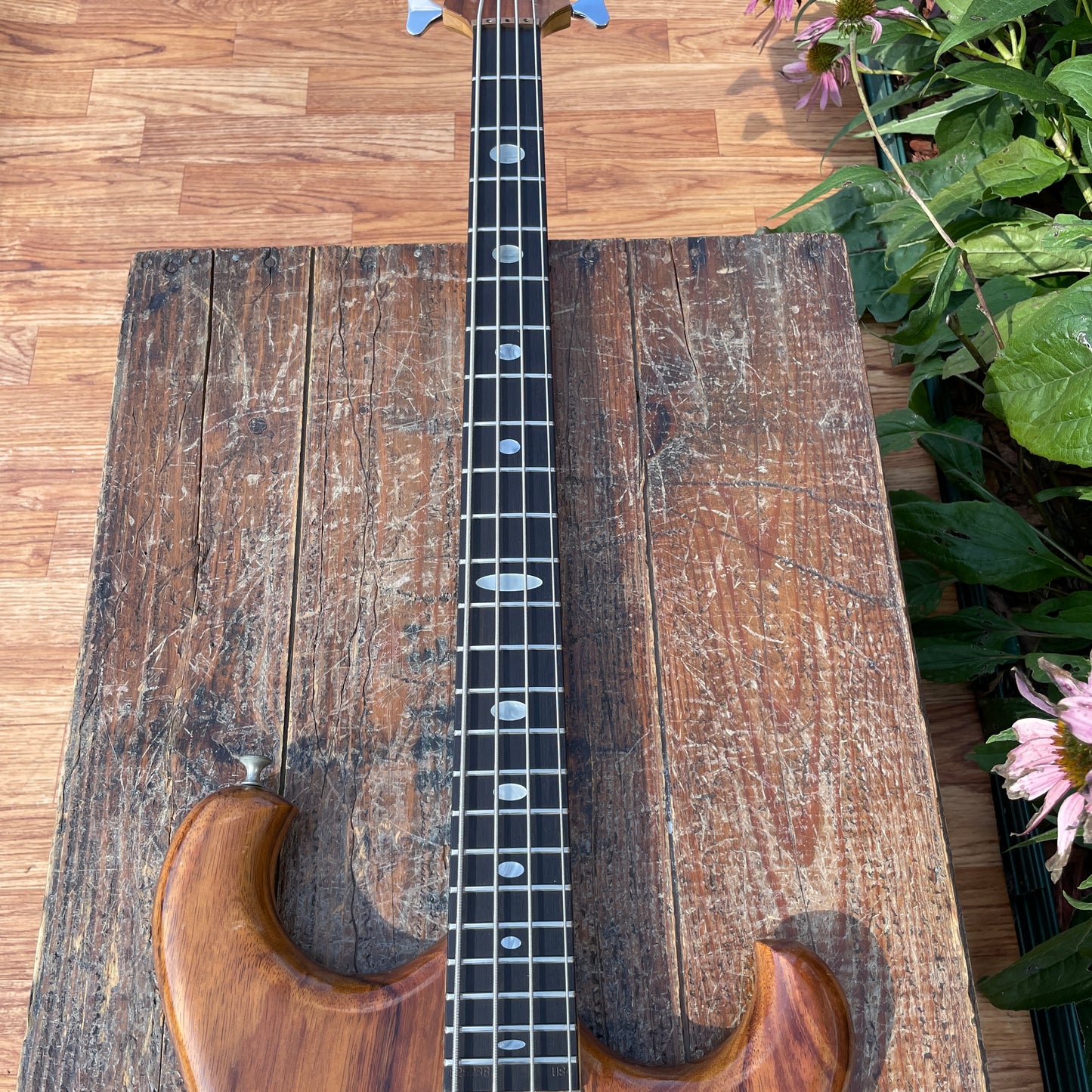 1982 Alembic Spoiler Bass Guitar w/ Hardshell Case