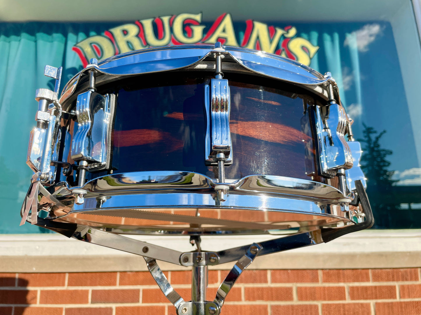 Ludwig Classic Maple Exotic 5x14 Ebony Macassar Snare Drum