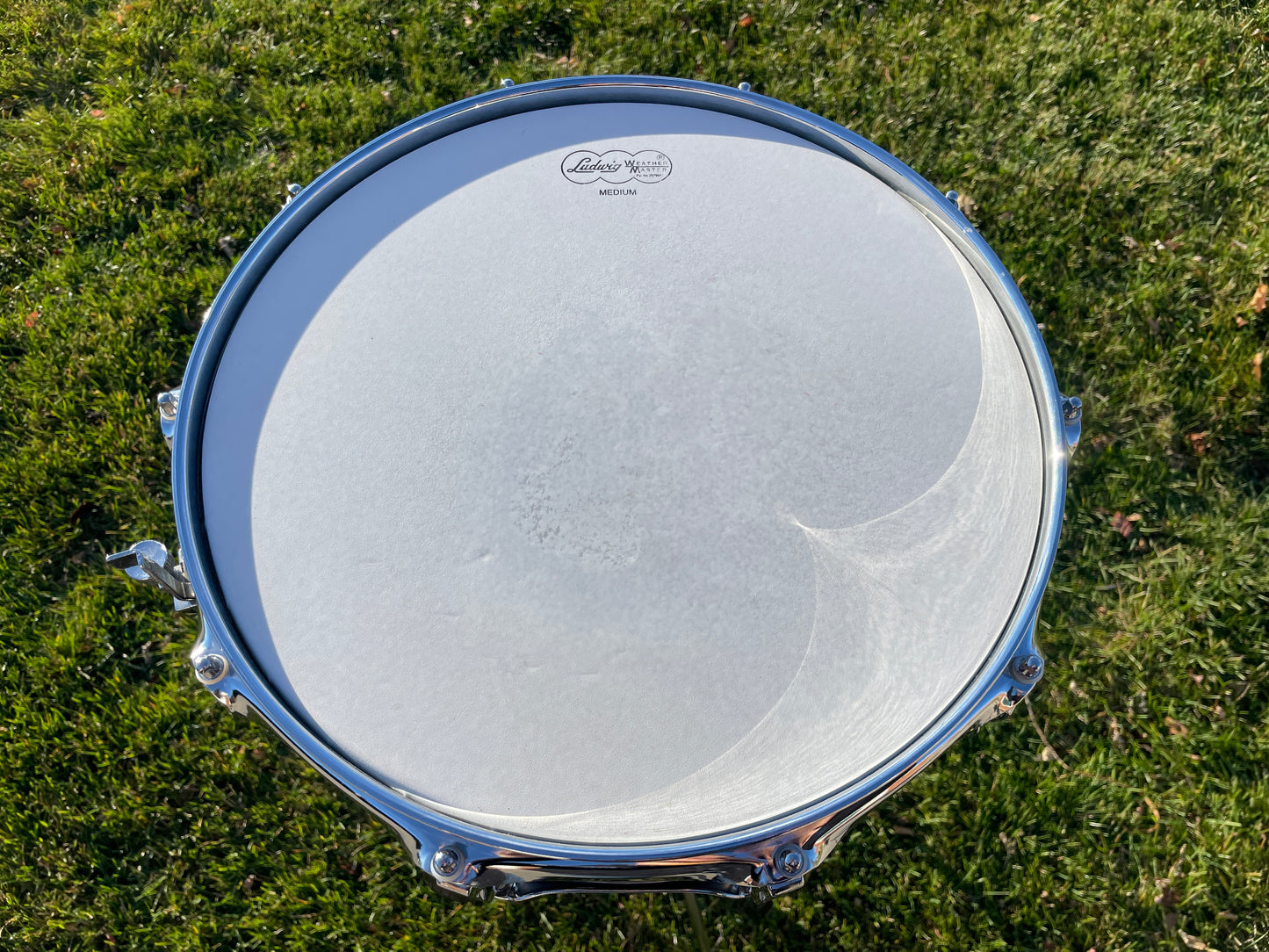 Ludwig Classic Maple Exotic 5x14 Ebony Macassar Snare Drum