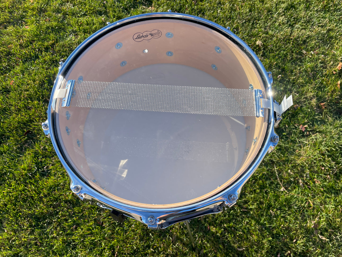 Ludwig Classic Maple Exotic 5x14 Ebony Macassar Snare Drum