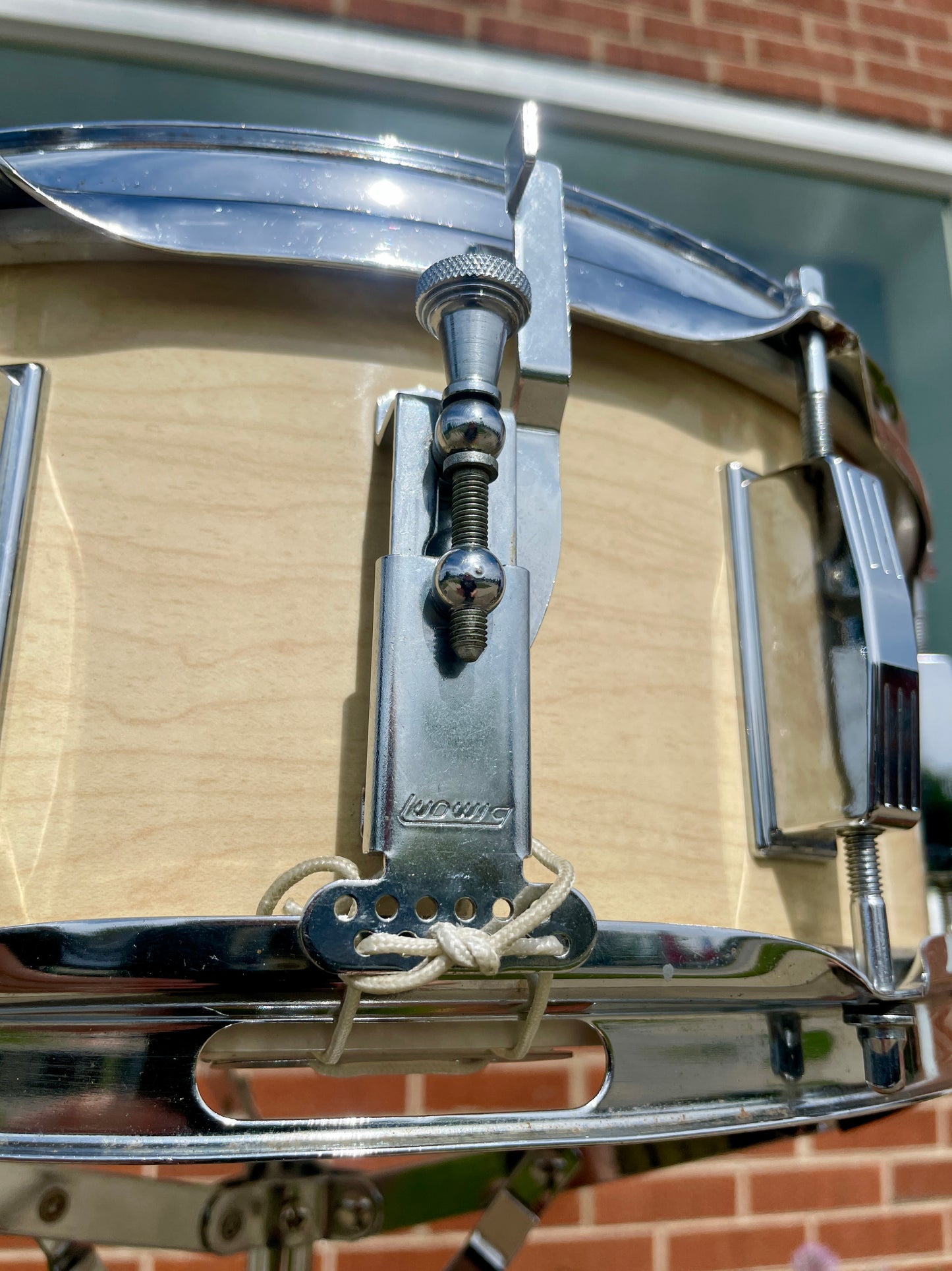 1970s Ludwig Educator 5x14 8 Lug Snare Drum Maple Cortex