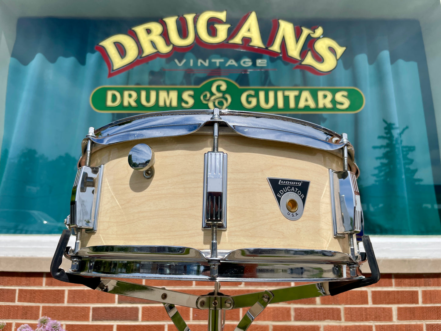 1970s Ludwig Educator 5x14 8 Lug Snare Drum Maple Cortex