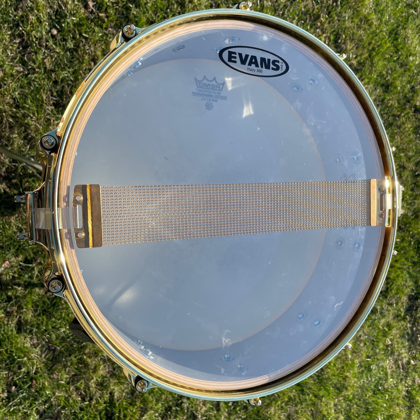 2000s Gretsch Exotic Maple 4x14 10-Ply Snare Drum Red Camphor 10 Lug