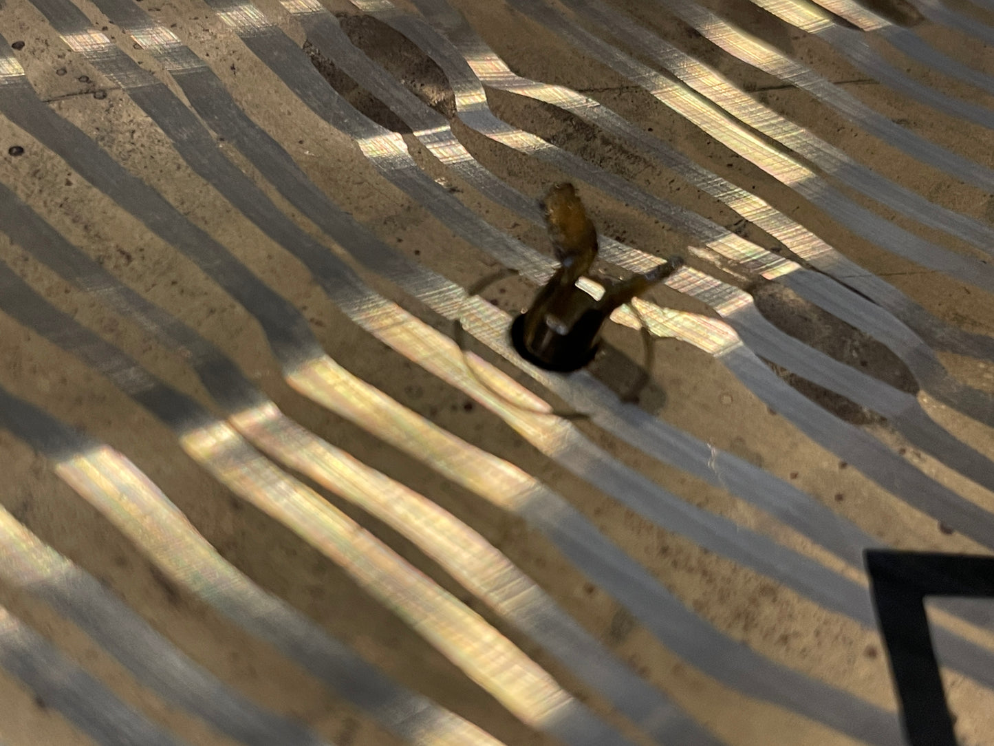 20" Paiste Traditionals Medium Light Swish China w/ Rivets 1592g