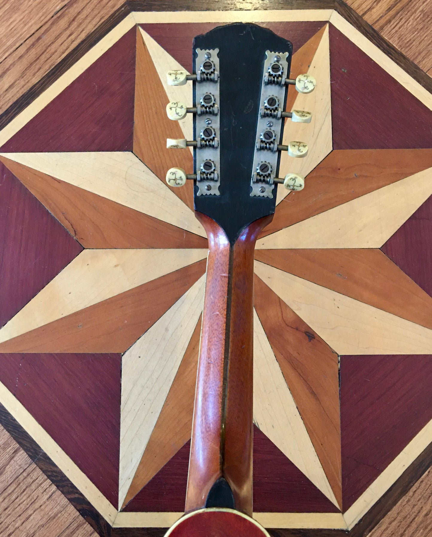 1915 Gibson Mandola H-2 (Mandola version of the A-4 Mandolin) Ebony