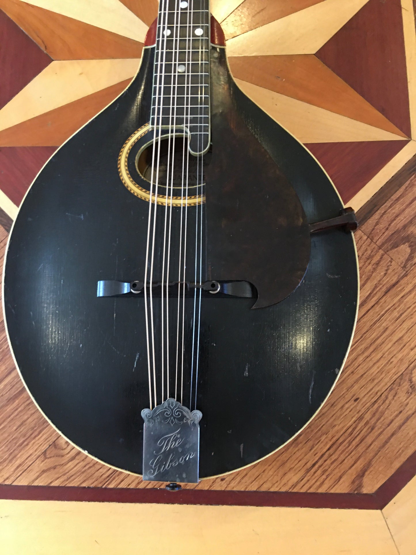 1915 Gibson Mandola H-2 (Mandola version of the A-4 Mandolin) Ebony