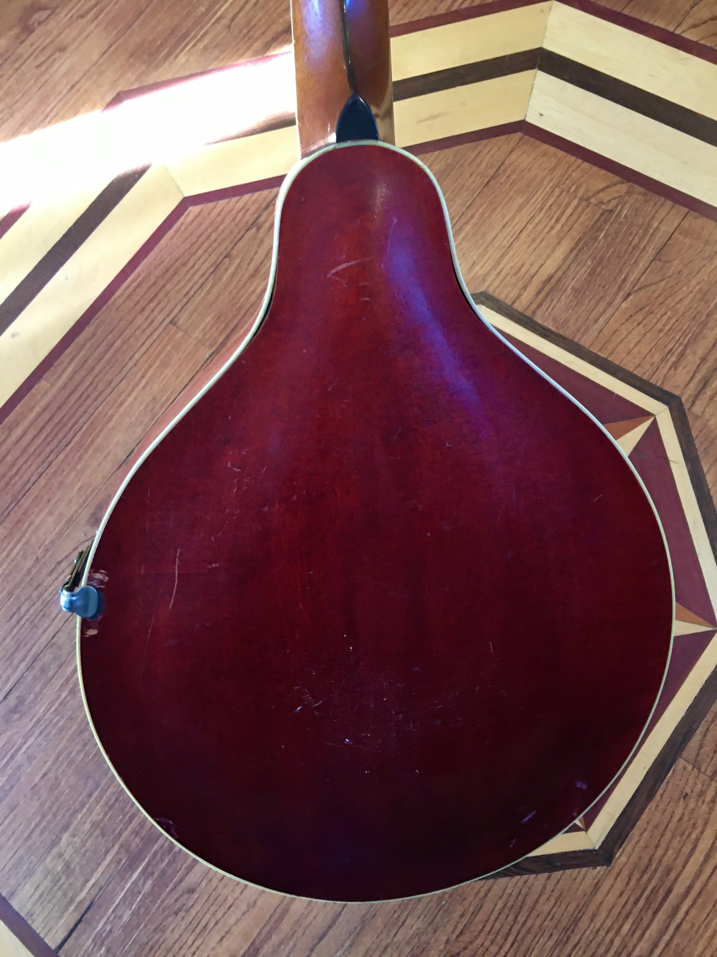 1915 Gibson Mandola H-2 (Mandola version of the A-4 Mandolin) Ebony