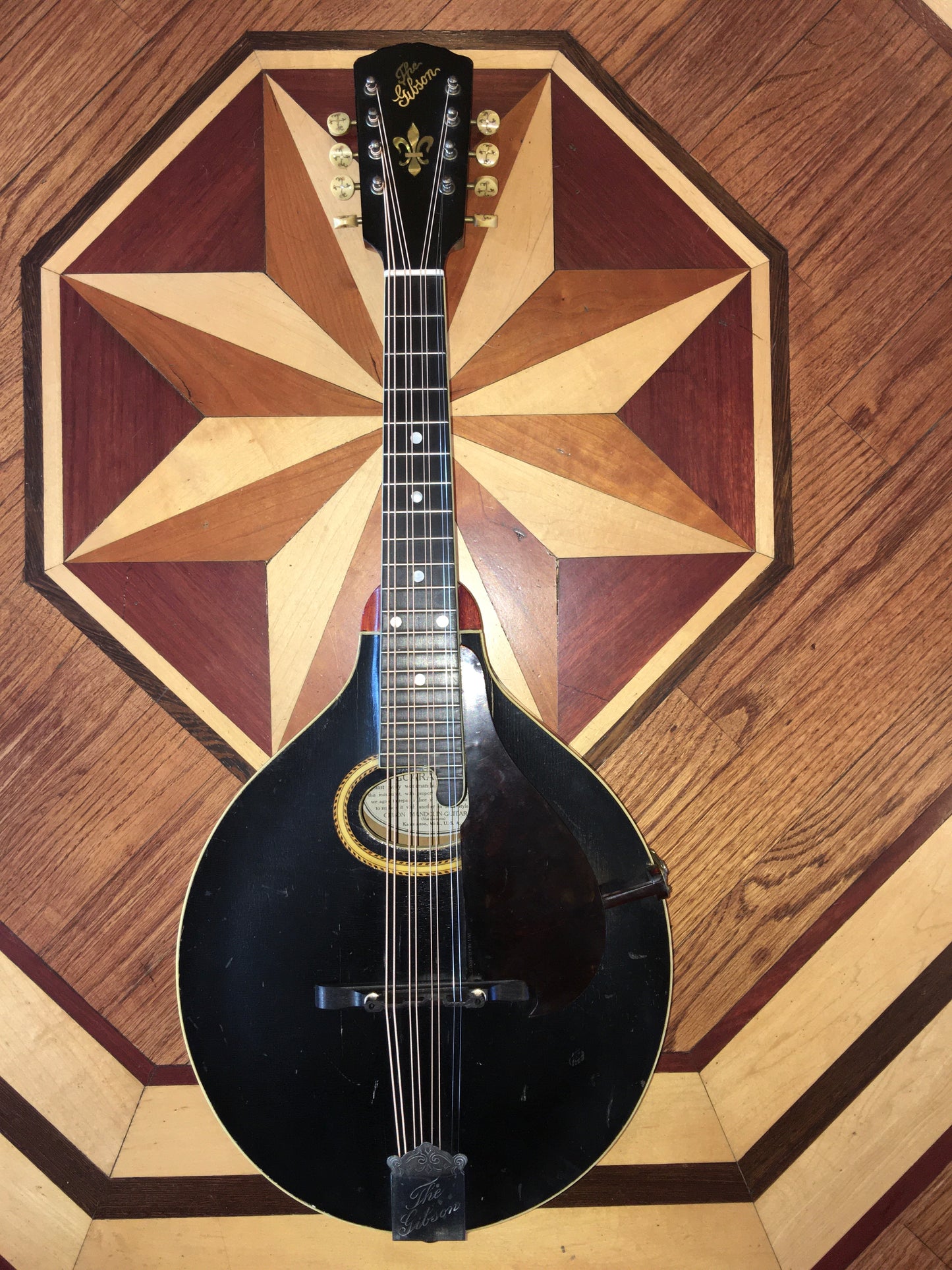 1915 Gibson Mandola H-2 (Mandola version of the A-4 Mandolin) Ebony