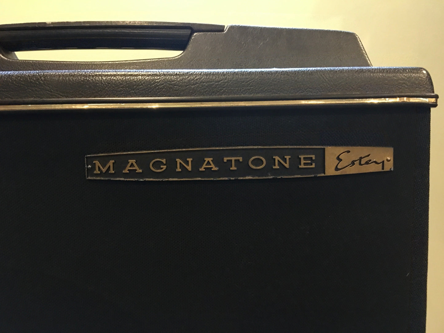 Vintage 1960s Magnatone Custom M9 Estey Combo Guitar Amp w/ Mullard Tubes