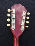 Vintage Kay K70 1950s Venetian Style Mandolin W/ Original Case
