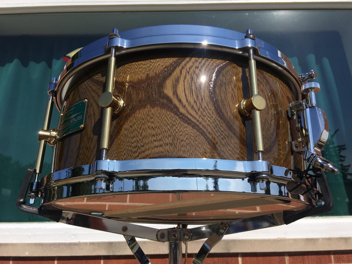 Canopus Zelkova Solid Snare 6.5"x14"