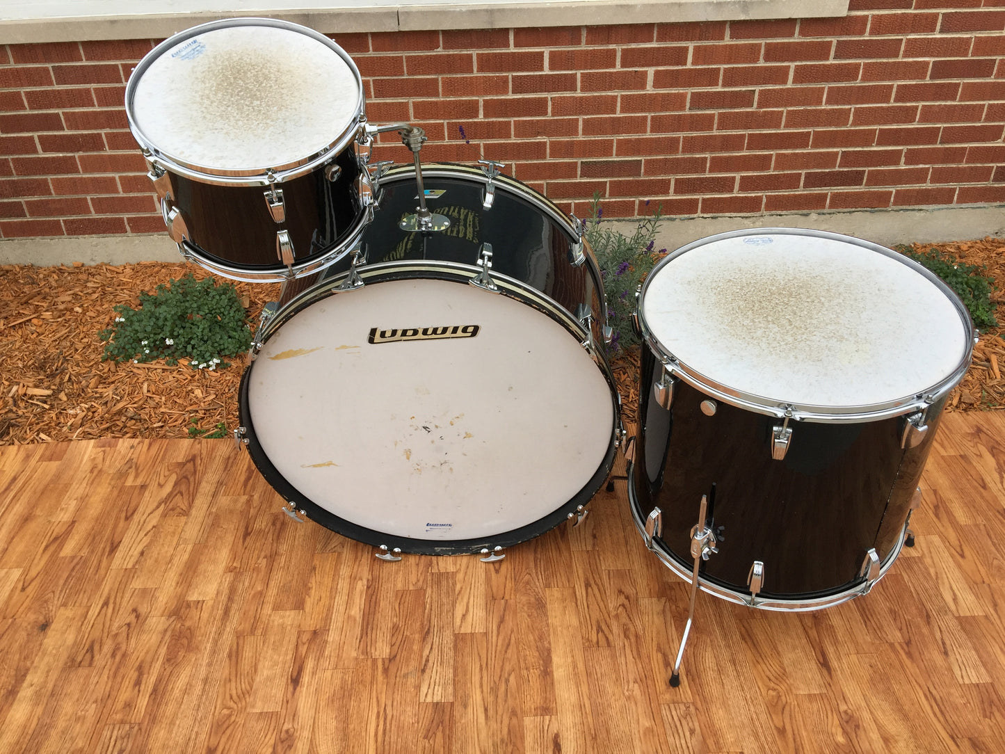 Ludwig 1970 Black Cortex Set with 14"x28" Bass Drum!