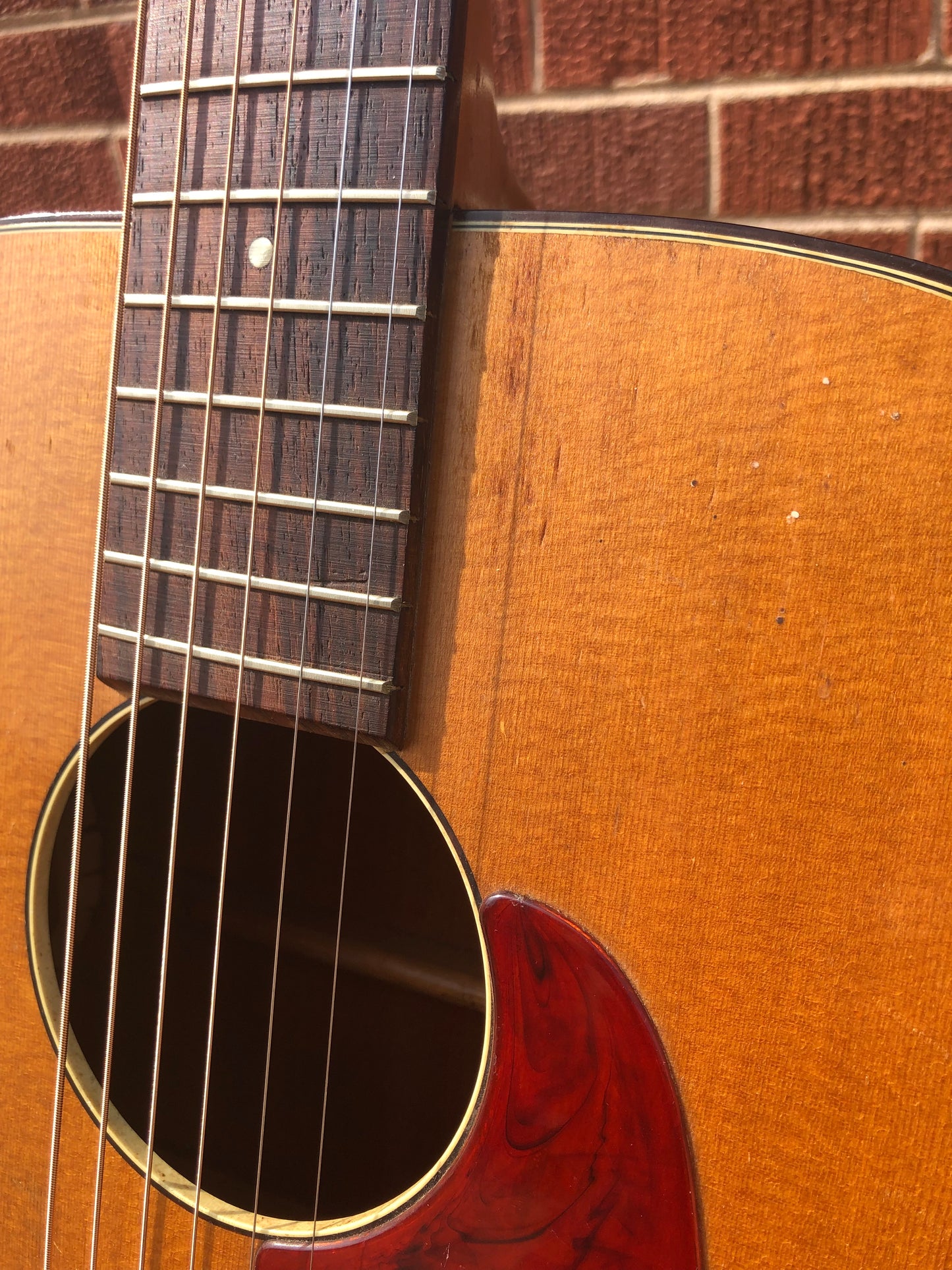 1960s Harmony H162 Tortoise Double Bound Acoustic Guitar Natural