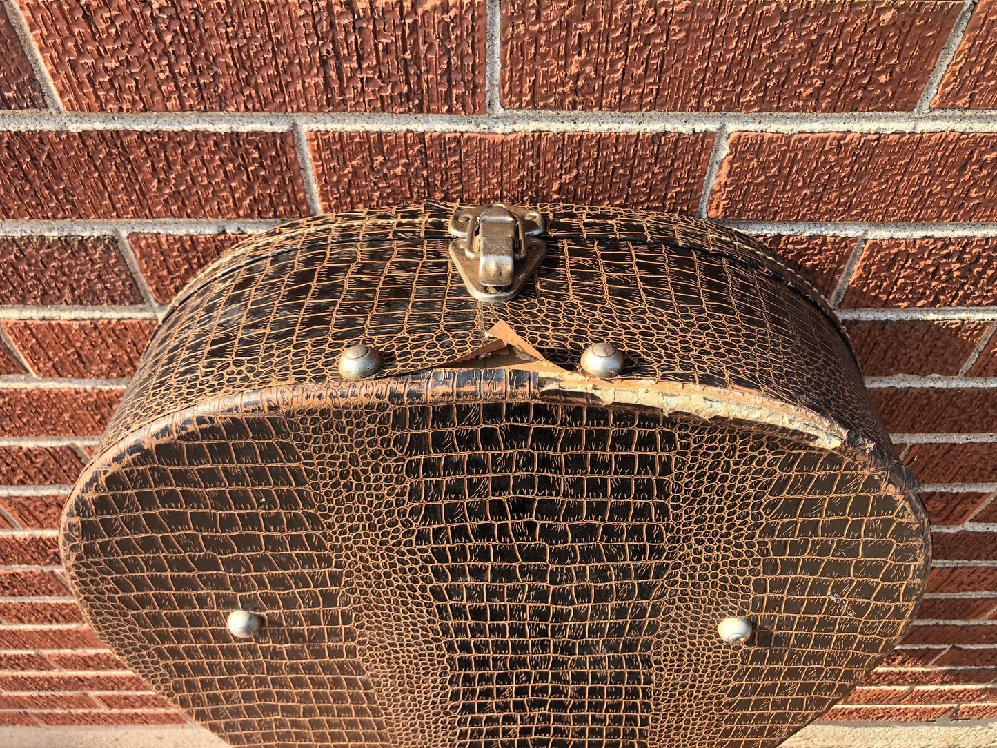 Vintage Ess & Ess Brown Faux Alligator Acoustic Flattop Hardshell Case
