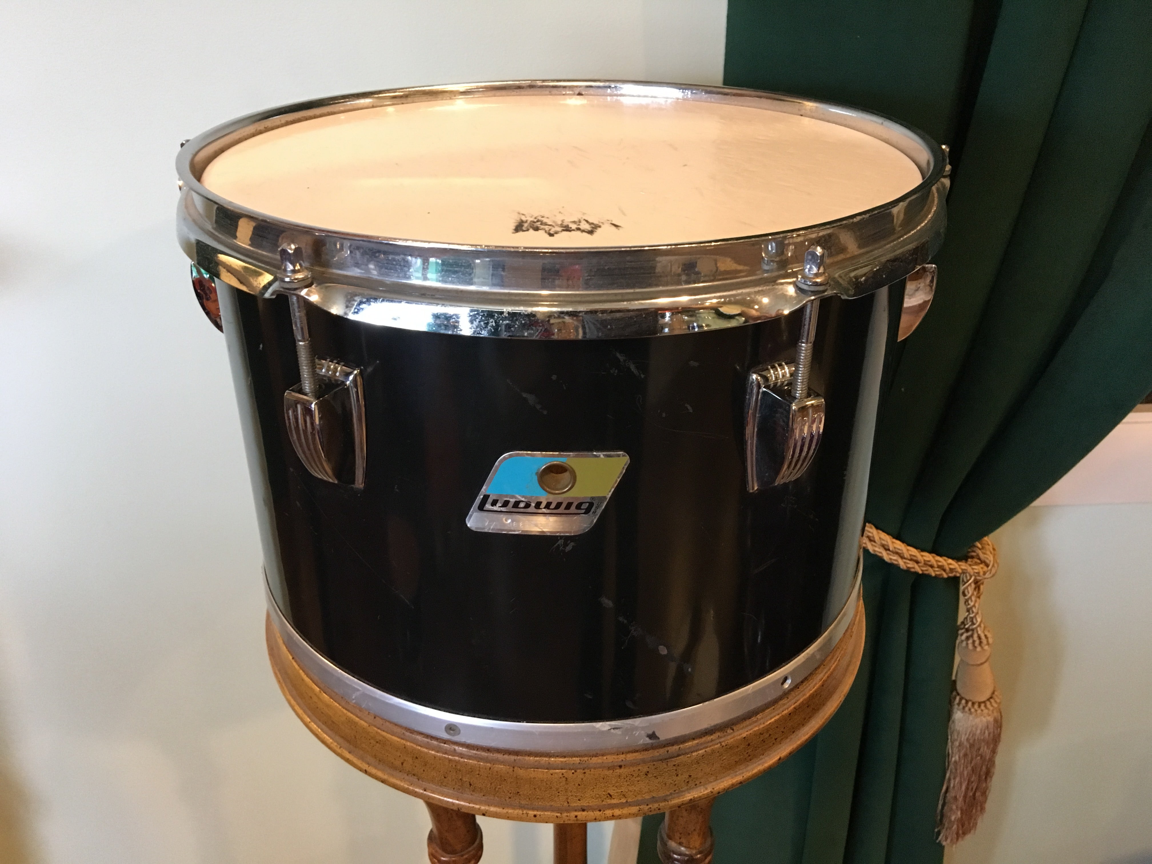 イヤーウィグ earwig/パスト past