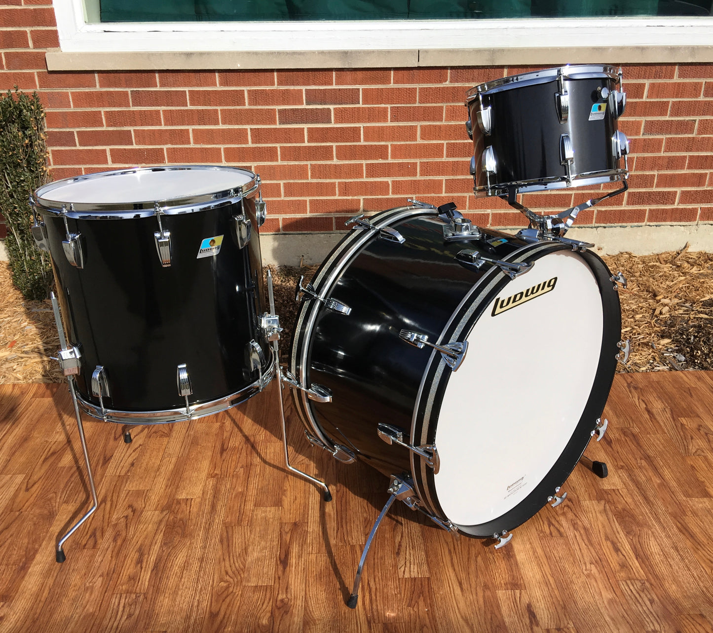 Ludwig 1977 Big Beat Drum Set 24/12/13/16 - Black Cortex - Closet Classic