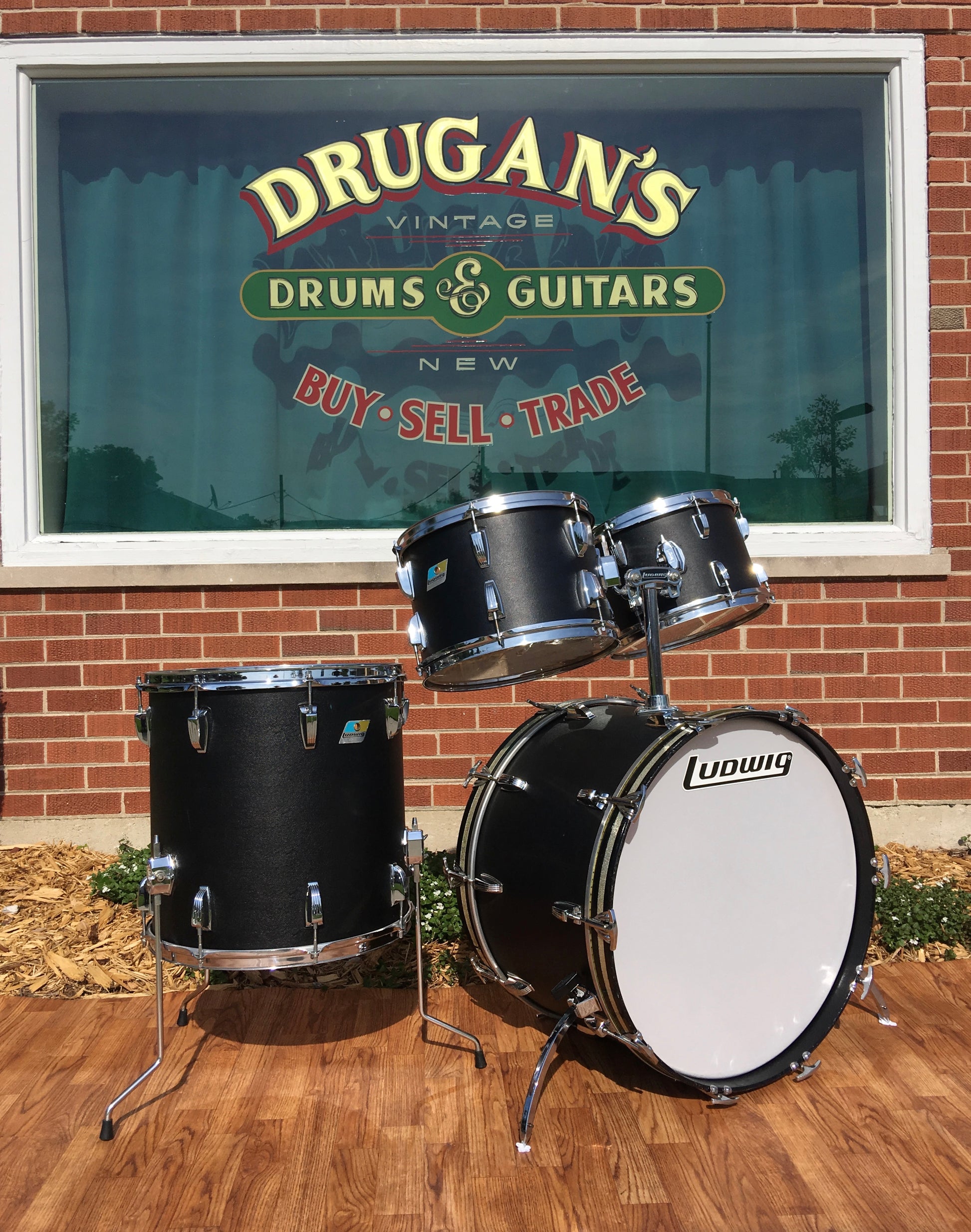 Ludwig black on sale white badge